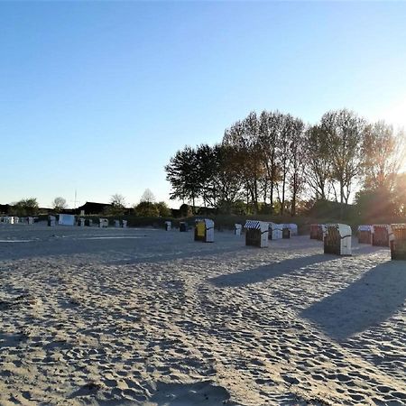 Sanddorn Haus Sanddorn - Whg 13 Großenbrode Dış mekan fotoğraf