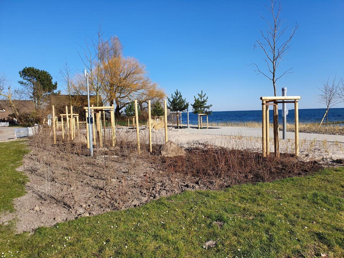Sanddorn Haus Sanddorn - Whg 13 Großenbrode Dış mekan fotoğraf